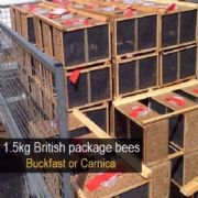 3lb Package Of British Bees with Mated Queen 2016